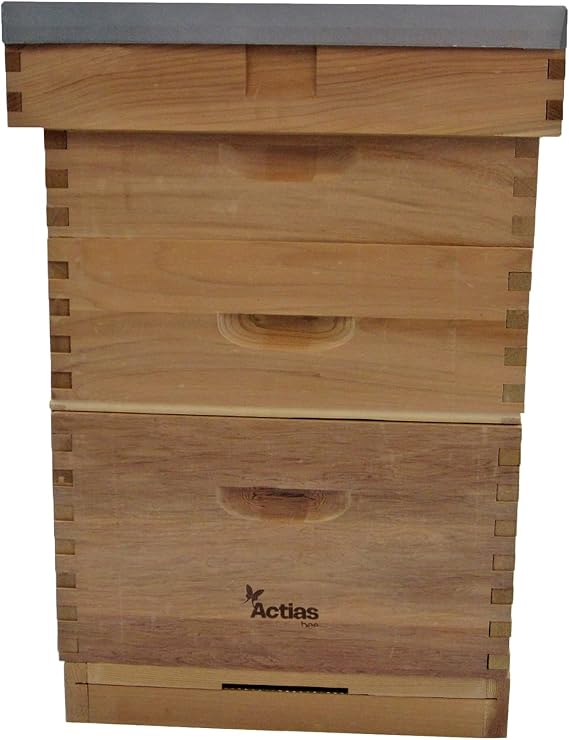 Langstroth Beehive in Cedar with Flat Roof