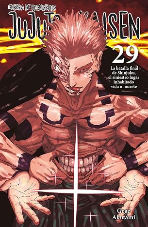 Jujutsu Kaisen 29