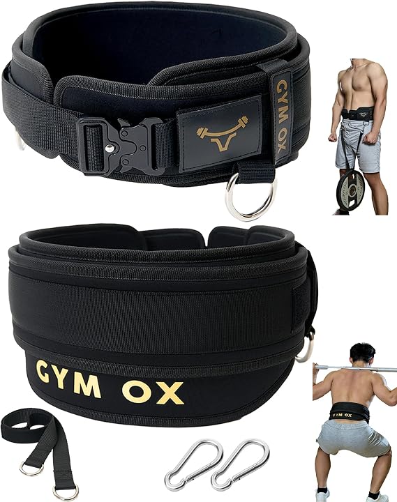 2-in-1 Weight Lifting Belts for Men and Dip Belt,Powerlifting Belt,Gym Belt for Men,Weighted Belt,Weighted Pull Up Belt
