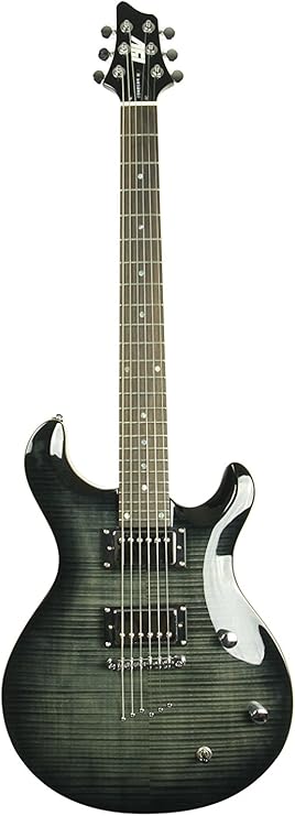 IYV 6 String IP-350 TBK PRS Solid Body Electric Guitar Trans Black
