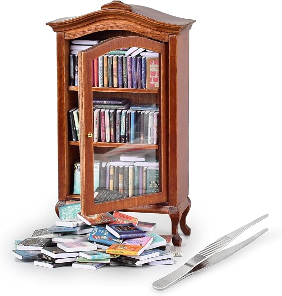 Anxiety Bookshelf, Miniature Bookcase, Book Lovers Gifts