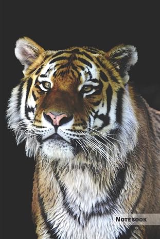 Tiger Notebook: Unique Tiger Journal, Notebook for animal and big cats lovers (graph paper) great for kids, boys, girls, to writing notes, drawing, ... lists, organizing and braindstorming.