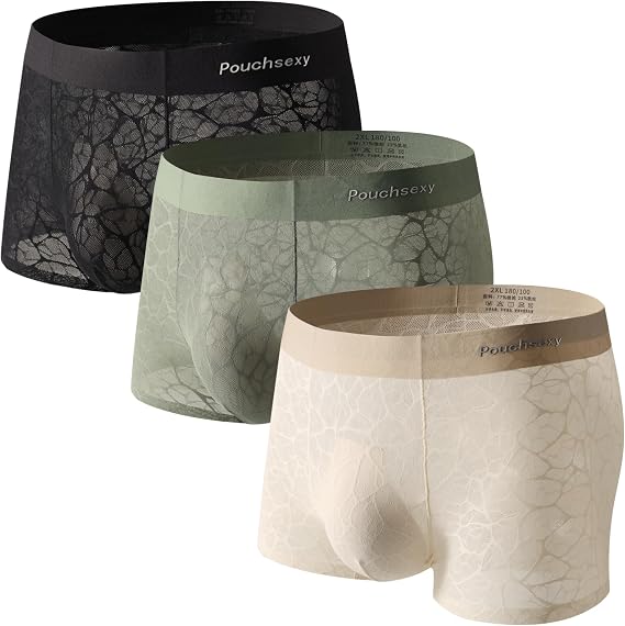 Mens Underwear Boxers Briefs See Through Breathable Mesh Lace Sexy Male Lingerie sheer with Pouch 3 Pack