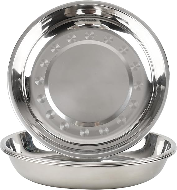 4 PCS 25.7cm Stainless Steel Plates, 10 Inch Round