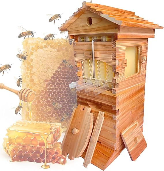 Bee Hives Boxes Starter Kit Self-Flowing Honey Hive with 4 Frames Wooden Flow Hive Beehive Complete Kit for Beekeeping Small, for Beekeeping, Garden Pollinators