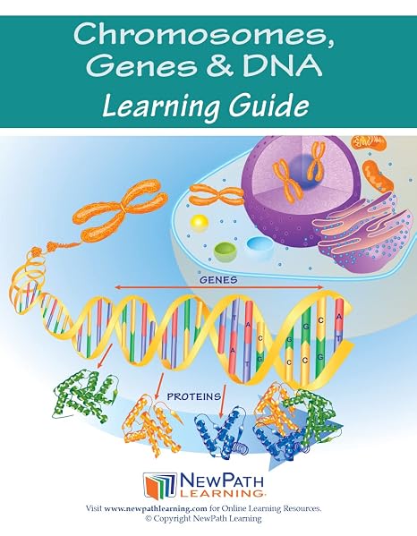 NewPath Learning 14-6777 染色体 遺伝子 DNA 学習ガイド 10パック