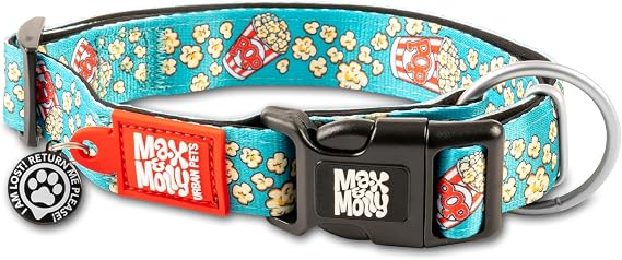 Max & Molly Popcorn Smart ID Köpek Boyun Tasması