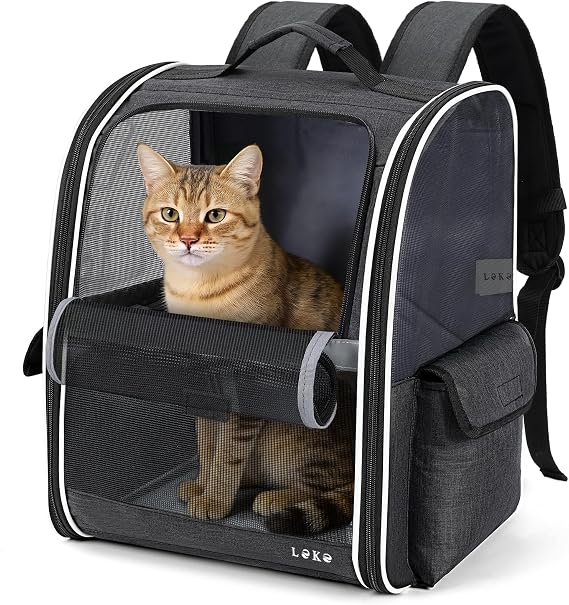 Lekesky Backpack for Cats Carrier Dog Cat for Medium/Small Pets (2-8kg), Cat Backpack with Mesh Window for Hiking, Travel, Outdoor (Black, M)