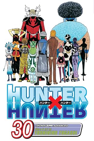 Hunter x Hunter, Vol. 30: Answer (Volume 30)