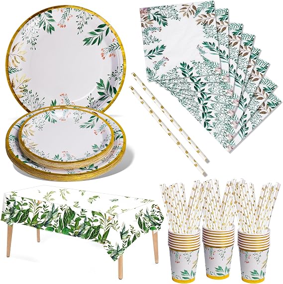 Nkaiso Sage Green Dinnerware Set, 121 Pieces Including Plates, Napkins, Cups and Straws