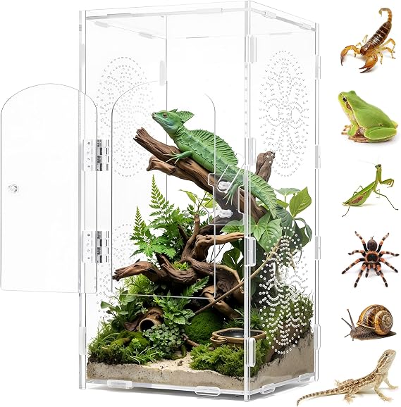 rloao Acrylic Jumping Spider Enclosure, 15 x 15 x 30 cm