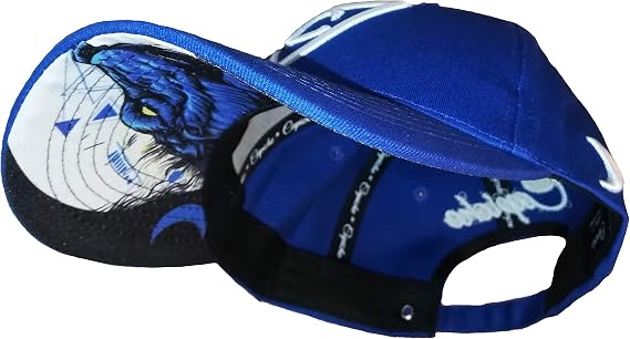 Capiche [13 Variations] Baseball Cap - One Size Unisex Men Basecap