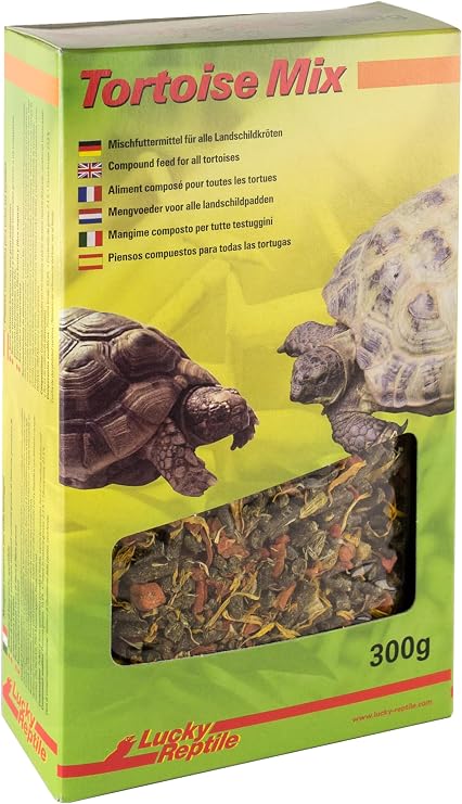 Lucky Reptile Tortoise Mix