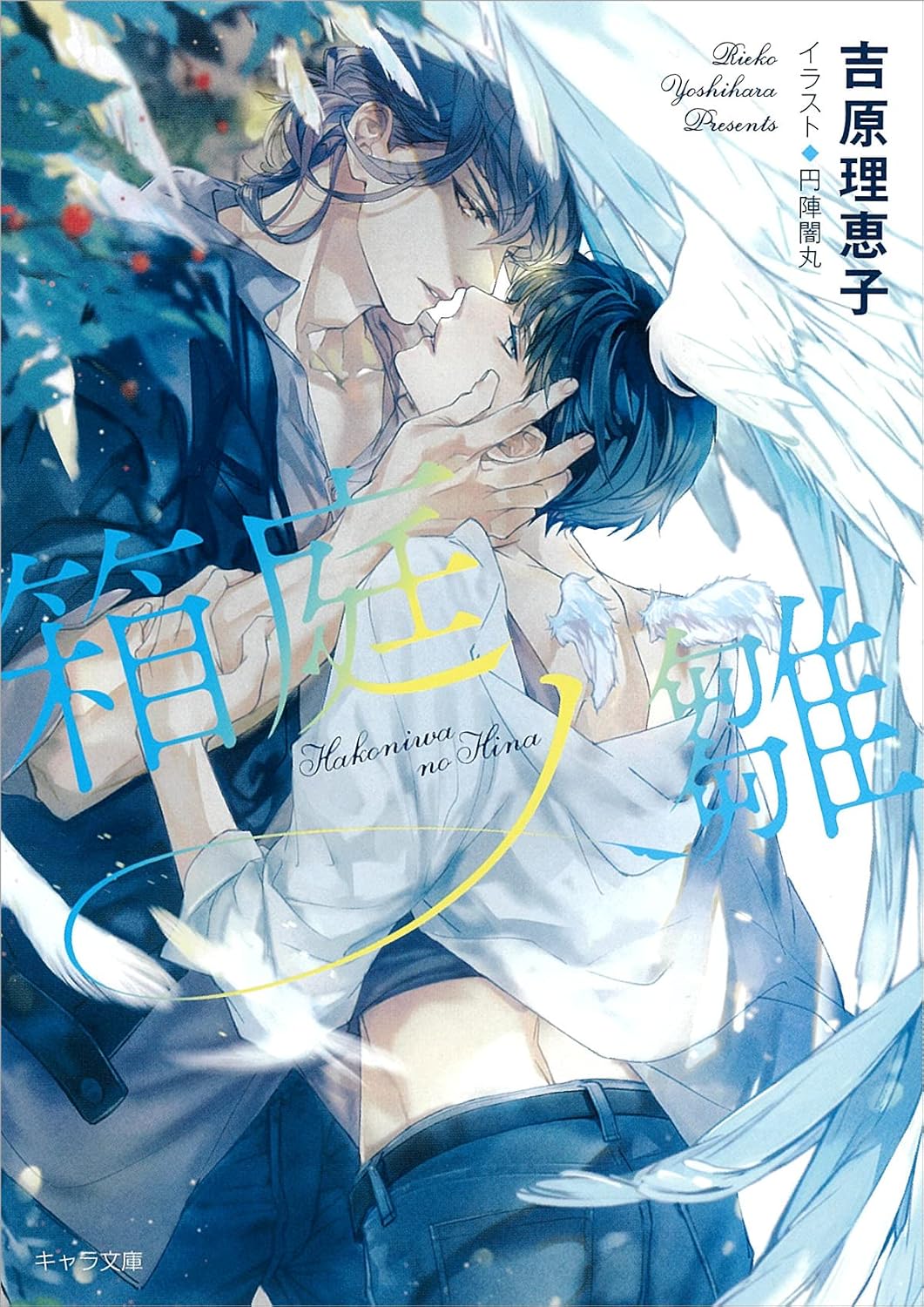 Hakoniwa no Hina Double Spiral 14 Character Bunko Paperback Banko – October 30, 2021