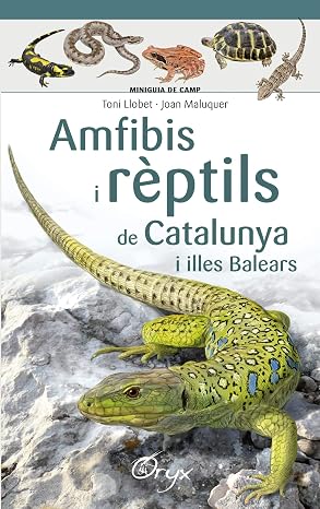 Amfibis I Reptils De Catalunya (Miniguia de camp)