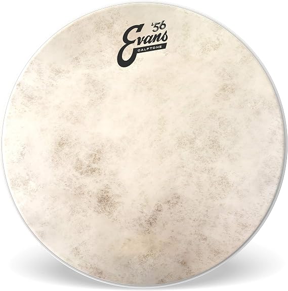 EVANS エヴァンス ドラムヘッド `56 Calftone Tom TT08C7 8インチ 国内正規品
