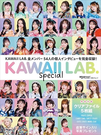 日経エンタテインメント!　KAWAII LAB. Special クリアファイル5枚付き 日経BPムック