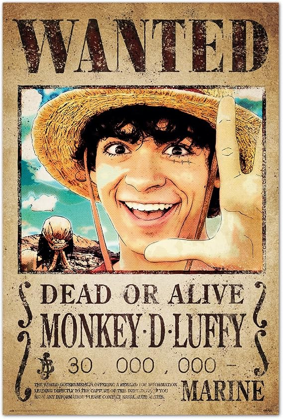 Grupo Erik One Piece Wanted Monkey D. Luffy Poster - 36 x 24 in, Gifts