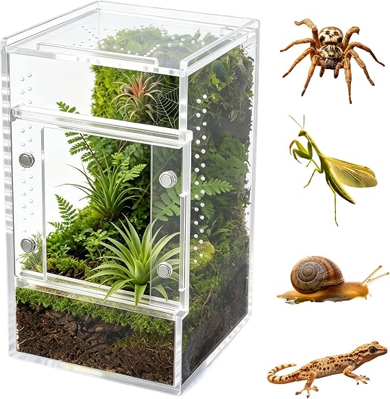 Jumping Spider Enclosure, Clear Acrylic Tarantula Habitat with Ventilation