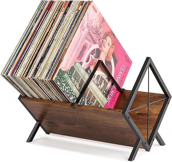 PUERSI Vinyl Record Storage Rack, 1 Tier 80 LP Record Storage Holder