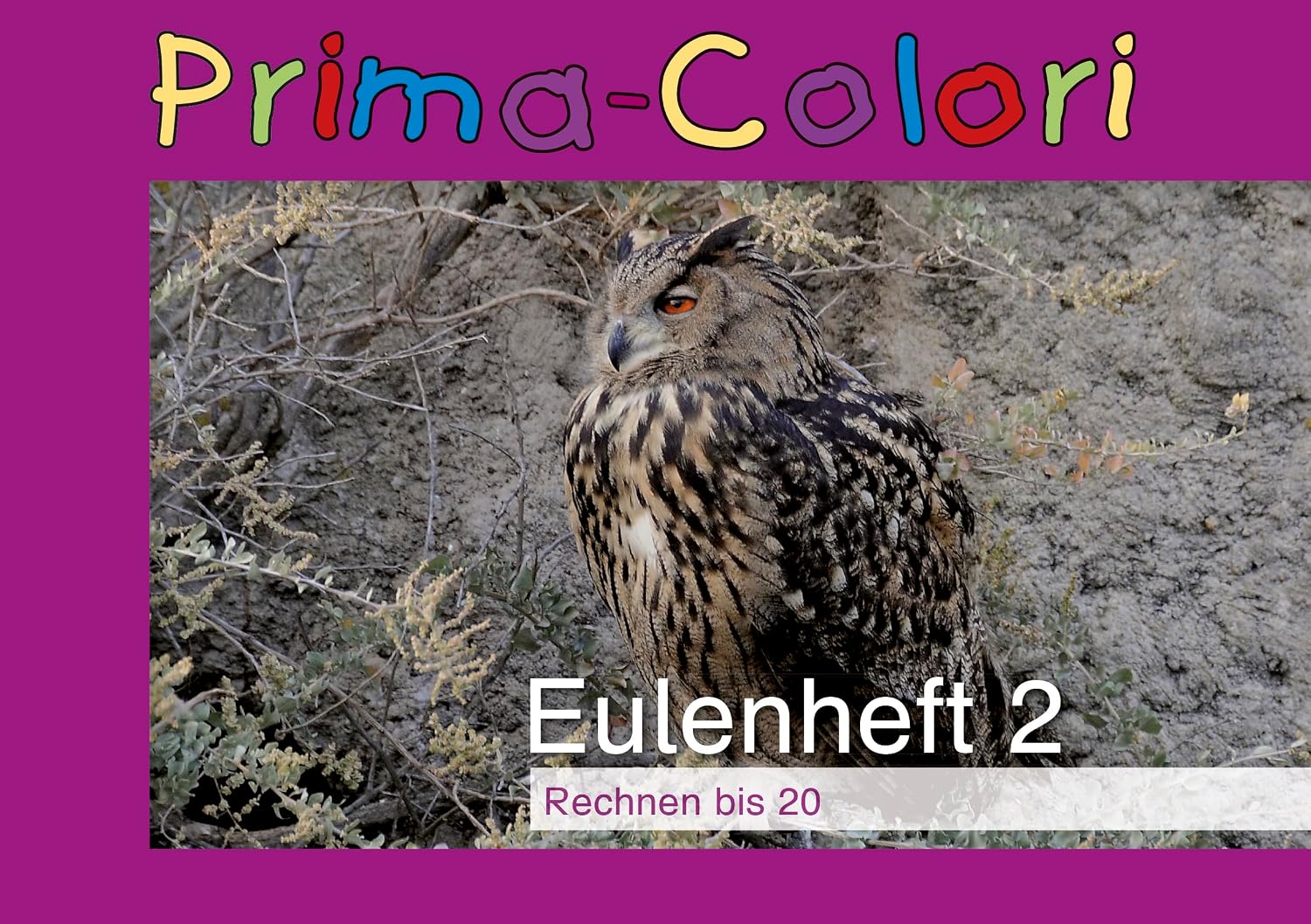 TimeTEX Owl Book 2