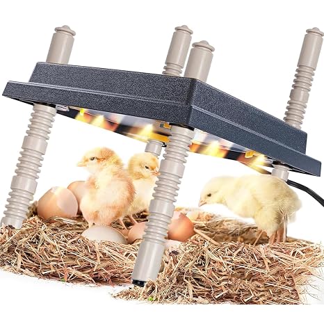 Chick Brooder Heating Plate, 10" x 10" Thermostat Chick Incubator Heat Lamp