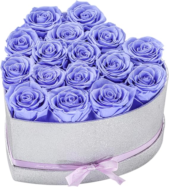 16 Purple Preserved Roses in Heart-Shaped Box, 1-3 Years Lasting, Anniversary, Birthday, Valentine's Day, Mother's Day Flower Gifts for Women