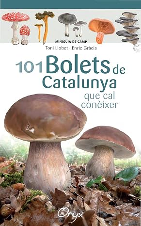 101 Bolets De Catalunya: que cal conèixer (Miniguia de camp)