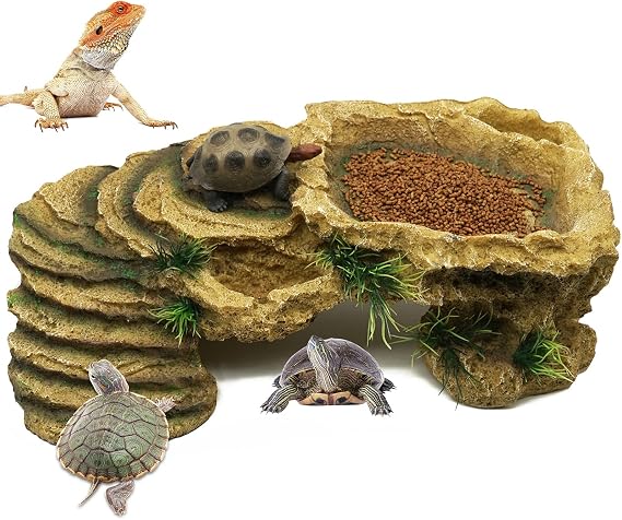 Turtle Basking Platform Tortoise Cave Hole Reptile Terrace Shelter Habitat