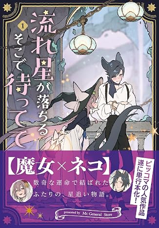 流れ星が落ちるそこで待ってて　１