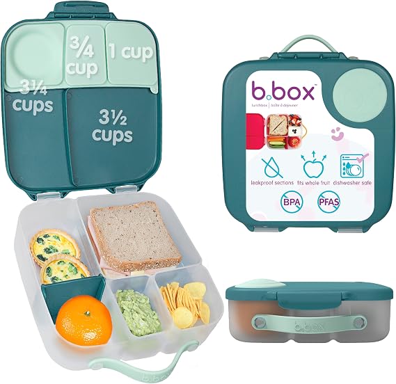 Lunchbox Emerald Forest