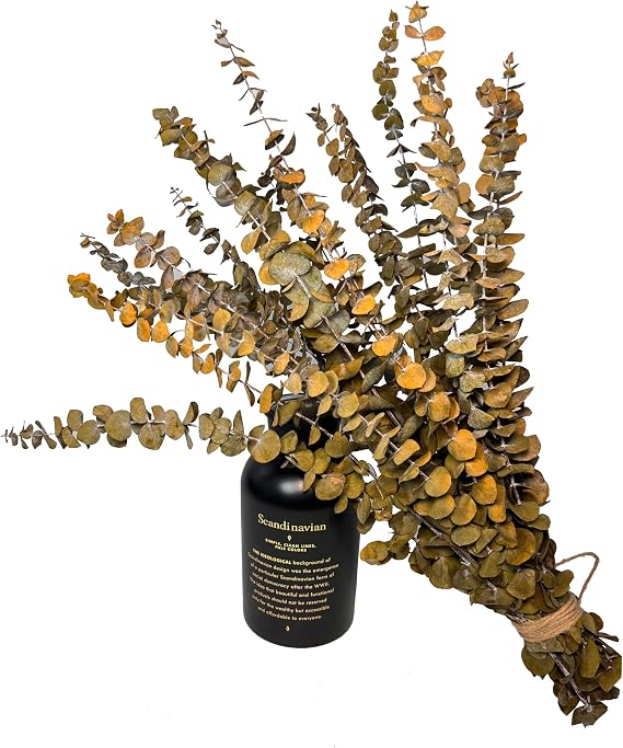 (20pcs) Dried Eucalyptus Stems - Red, True Long Eucalyptus, Dried Flowers for Vase, 18 Inch Floral Arrangement, Wedding (Yellow)