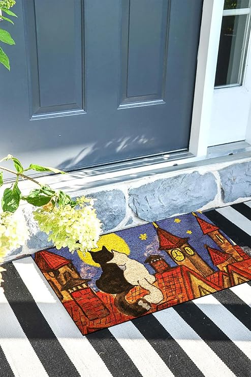 Monnhein Kapı Önü Paspası Dekoratif Kapı Paspası Dış Mekân Paspas Ev İçi Paspası 45x70cm