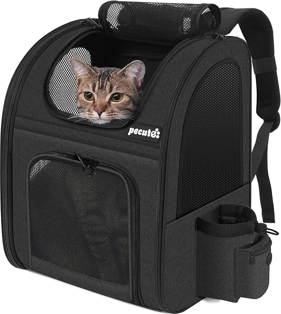 Pecute Transportin Dog Backpack for Pets <6 kg, Cat Backpack with Mesh Window, Cat Carrier 44 x 34 x 27 cm for Travels in Car, Train and Outdoor Activities such as Hiking Black