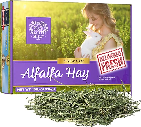 Small Pet Select Alfalfa Hay, 10lb (4.54kg)