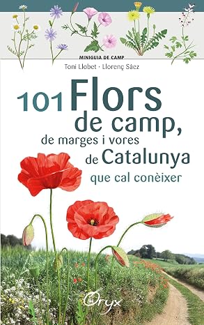 101 Flors De Camp, De Marges I Vores De Catalunya: que cal conèixer (Miniguia de camp)