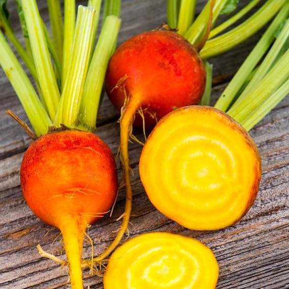 PREMIER SEEDS DIRECT - Beetroot Seeds - Burpees Golden (Standard, 300 Seeds)