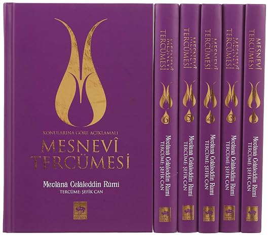 Mesnevi Translation (Hardcover)