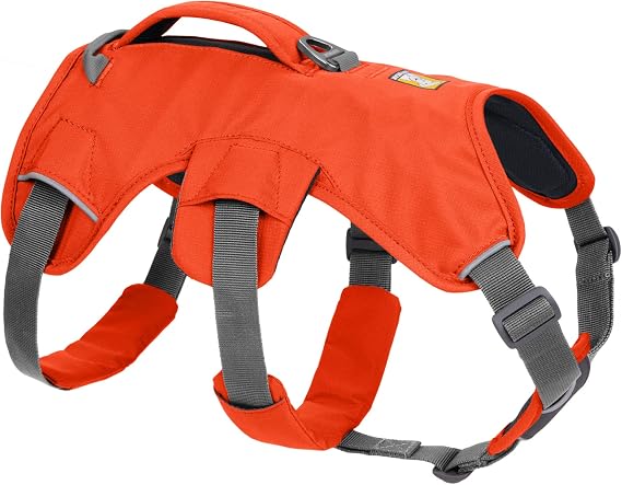 RUFFWEAR Web Master Dog Harness, Padded, Anti-escape Dog Harness with lifting Handle for Everyday Adventures, 2 Lead Attachments, Size: XX-Small (33-43cm), Hi Vis Blaze Orange