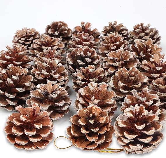 24PCS Pine cones Christmas Snow White Natural Pinecone Rustic Frosted Dried Pinecone with String Pendant Mini Pinecone Picks for DIY Crafts Holiday Wreath Christmas Tree Party Supplies Ornaments Decor