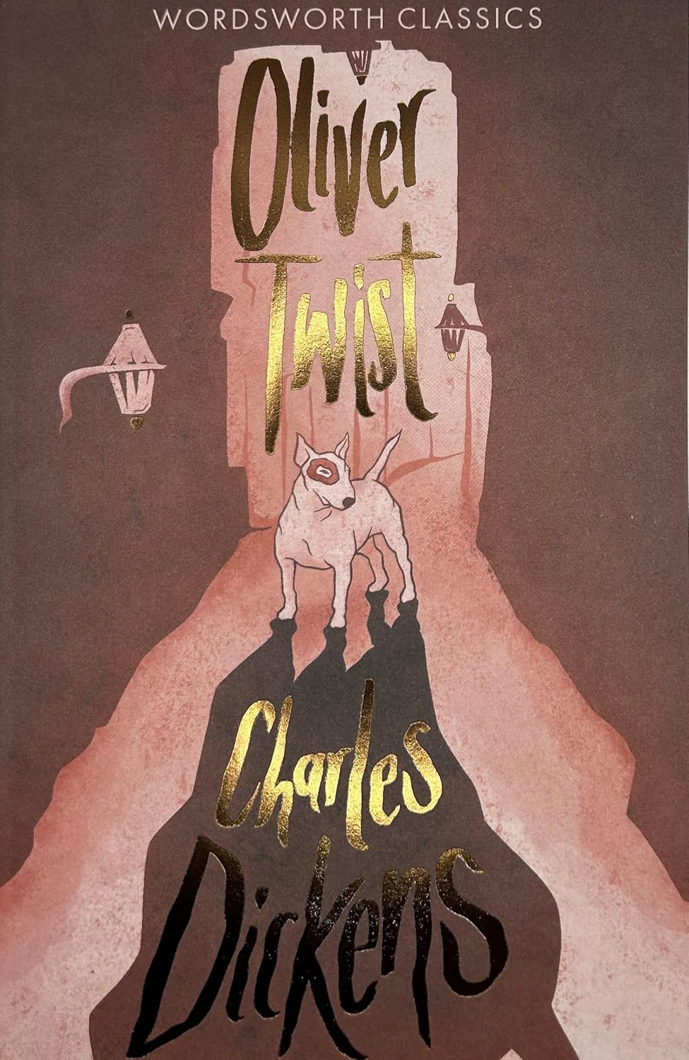 Oliver Twist Kağıt Kapak – 5 Mayıs 1992