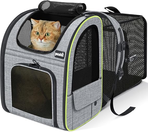 Pecute Cat Backpack <6 kg Backpack for Cats and Dogs, Expandable and Foldable for Traveling by Train/Car/Restaurant, Grey (Mesh Window)