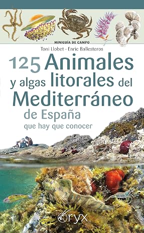125 Animales Y Algas Litorales Del Mediterraneo De España Que Hay Que Conocer (Miniguía de campo)