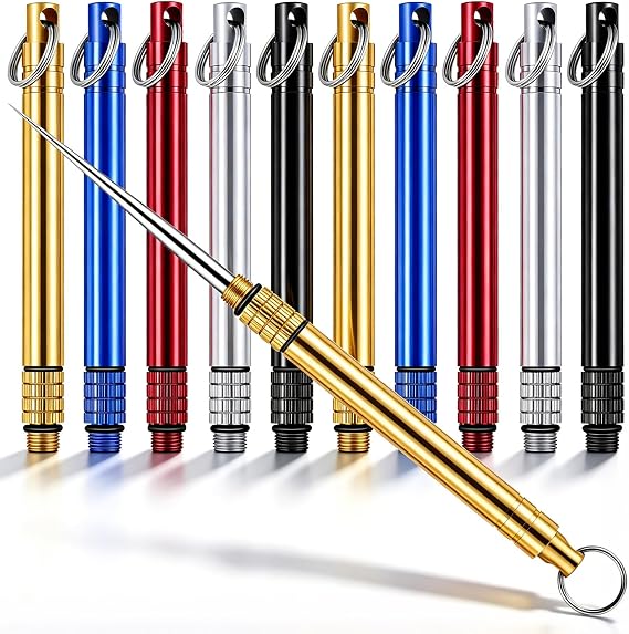 Portable Titanium Toothpick Holder Set, 10Pcs Reusable Metal Toothpicks with Keychain, Stainless Steel Dental Picks for Travel, Camping, Picnic and Outdoor Use