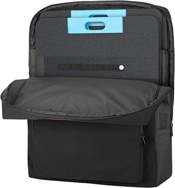 HODRANT Solar Panel Storage Bag Compatible with Anker SOLIX PS100 PS200
