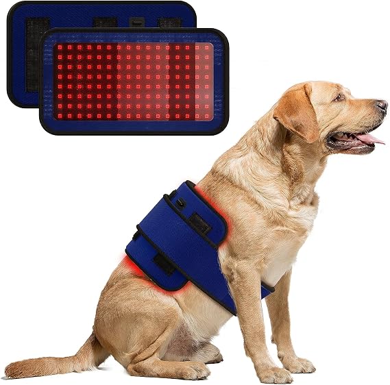 Pet Infrared Belt for Dogs and Cats - Red Light Belt for Pets and Animals - Red Light Irradiation - Red LED 660nm 808nm - Also for Horses