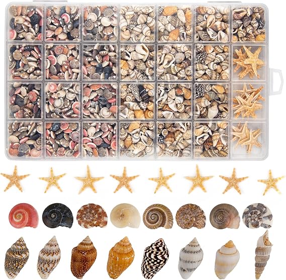 1200 PCS Tiny Sea Shells and 30 PCS Small Starfish for Crafting