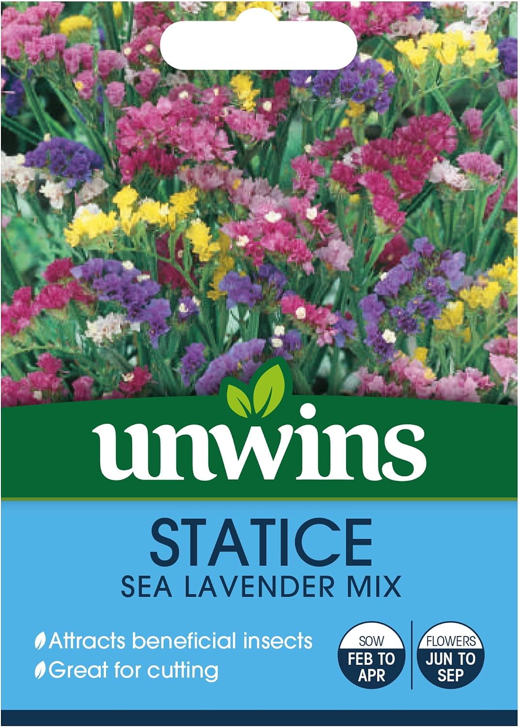 Unwins Statice Sea Lavender Mix Seeds