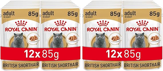 Royal Canin British Shorthair Canned 85g x 12 Pieces (2 packs)