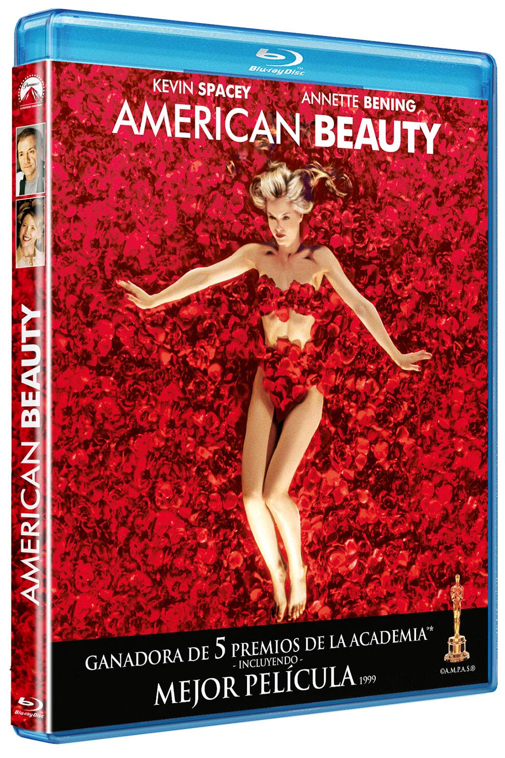 AMERICAN BEAUTY - (BD) [Blu-ray]